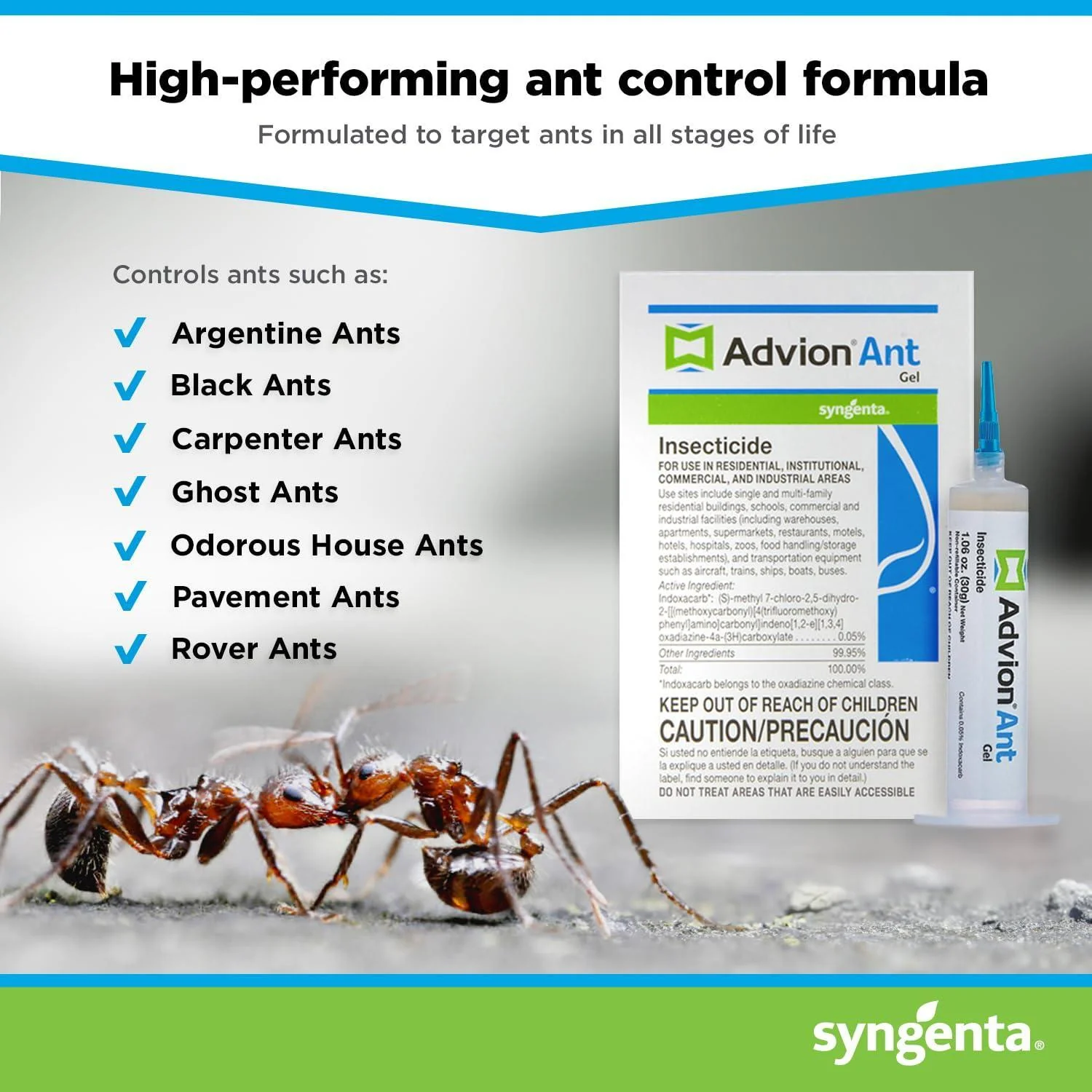 Advion Ant Gel Bait, 1 30-Gram Tube, 1 Plunger and 1 Tip, Effective Bait, Formulated with 0.05% Indoxacarb, Indoor and Outdoor Use, Killer Gel for Control of Most Major Ant Species - Image 2