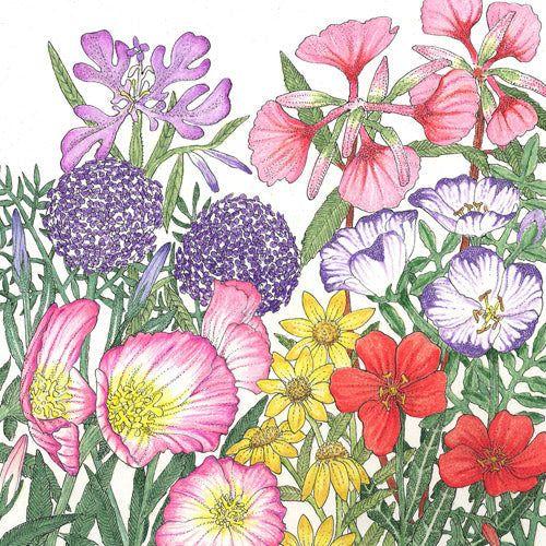 California Native Wildflower Mix (pack) - Image 3