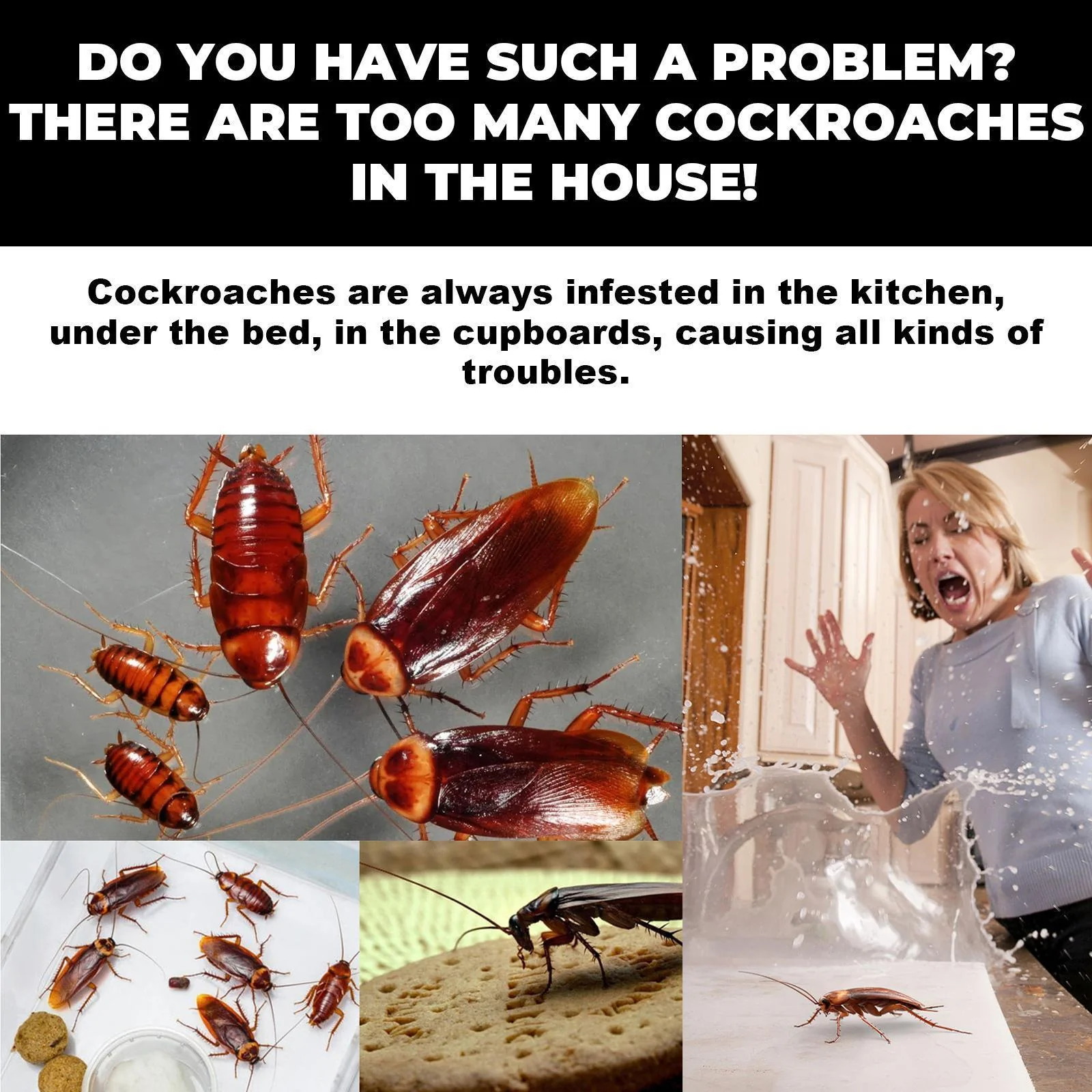 Cockroach Killer Star Bait Station Pest Control USA Warehouse 🇺🇸 - Image 2
