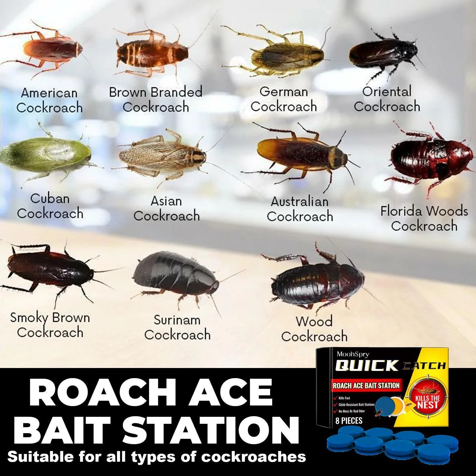 Cockroach Killer Star Bait Station Pest Control USA Warehouse 🇺🇸 - Image 6