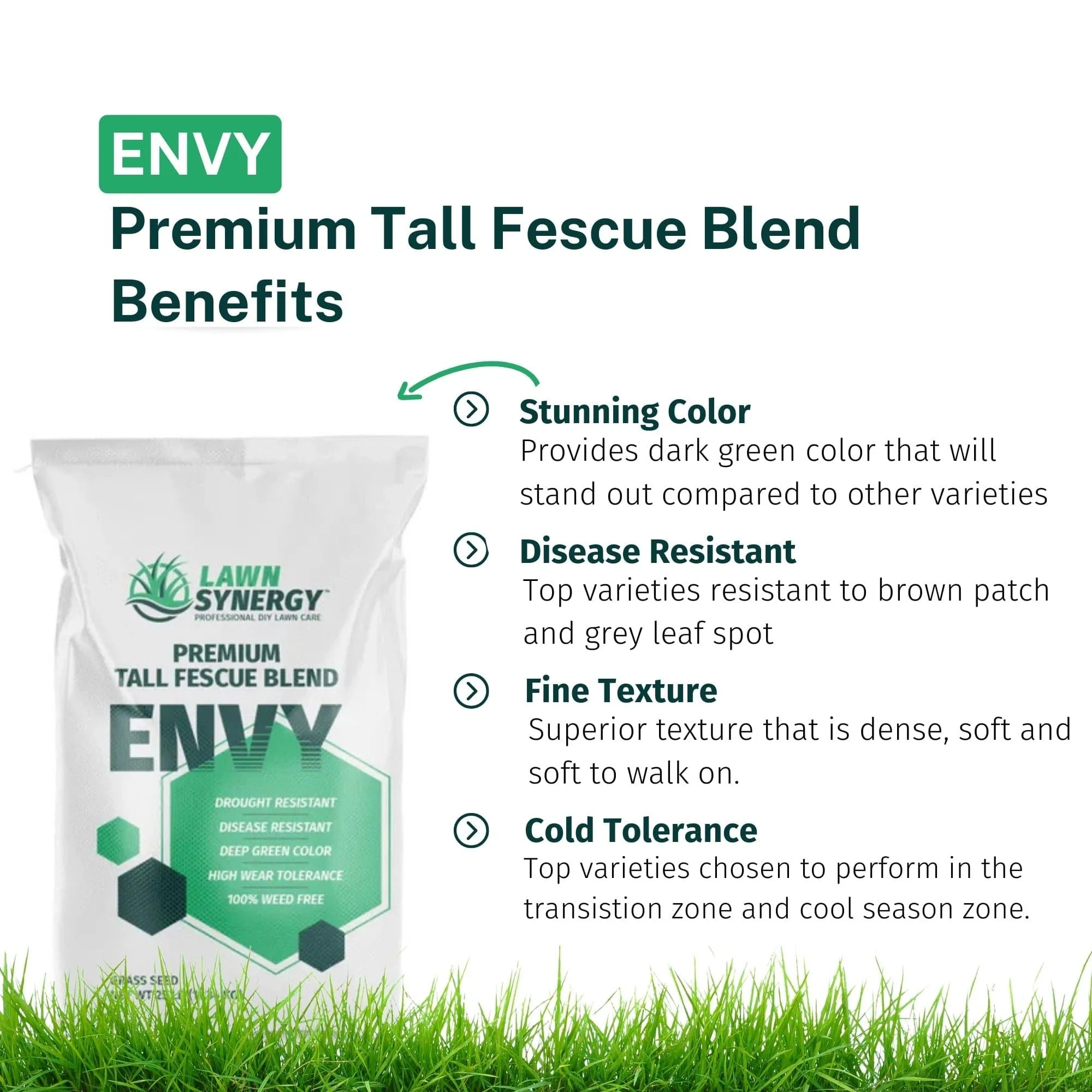 Envy Premium Tall Fescue Grass Seed Blend - Image 3
