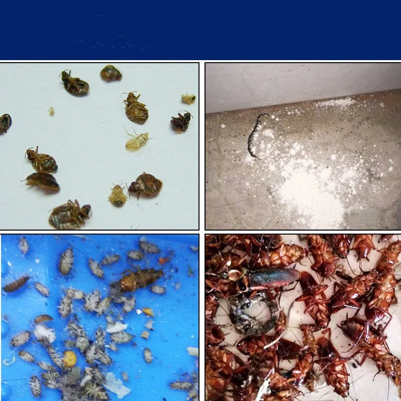 Insecticide Flea, cockroach bait Powder Household Bed Go Up To Kill Tide Insect Medicine Indoor Bedbugs - Image 3