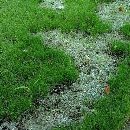 Seed Aide Cover Grow - Water Retaining Seed Starting Mulch - Image 3